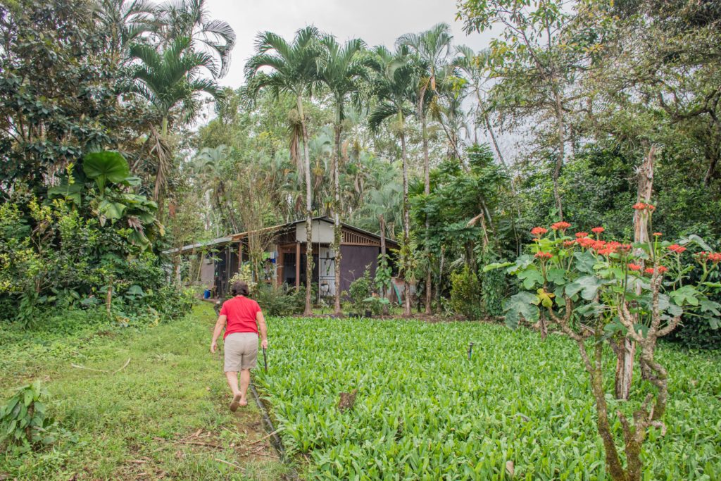 Homestay Costa Rica